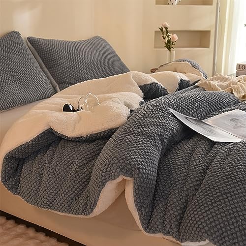 LLanCL 3D Jacquard Design Comforter Set, Ultra-Soft Warm Twin Size Sherpa Fur Plush 2-Pieces Sets Luxury Cozy Bedding with 1 Pillowcase (68"x90", Grey)