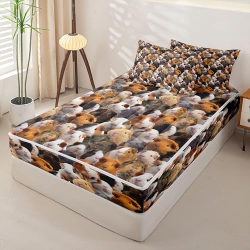 Feelyou Guinea Pig Cavy Comforter Set Queen Size Girls Boys Kids