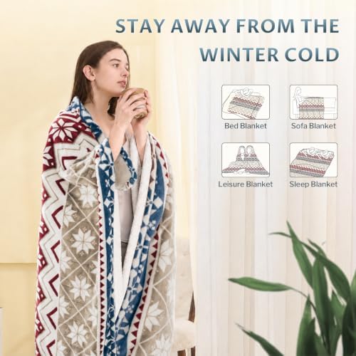 Reaks Heated Blanket Full, 9 Heat Levels, 2-10H Auto-Off, Red Beige
