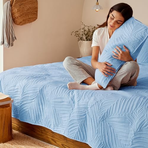 Exclusivo Mezcla Lightweight Full Queen Quilt Bedding Set, Soft Microfiber