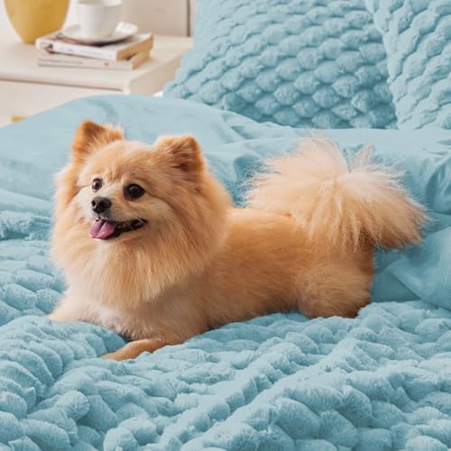 BEDELITE Fluffy Queen Comforter Set, Dusty Blue Fleece Bed Set 3 Pieces