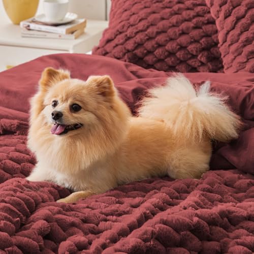 BEDELITE Fluffy Twin/Twin XL Comforter Set, Burgundy Bed Set 2 Pieces