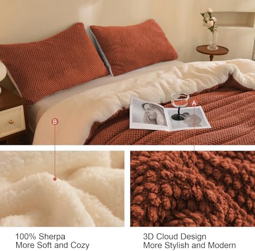 LLanCL 3D Jacquard Design Comforter Set, Ultra-Soft Warm King Size Sherpa Fur Plush 3-Pieces Sets Luxury Cozy Bedding with 2 Pillowcases (104"x90", Burnt Orange)