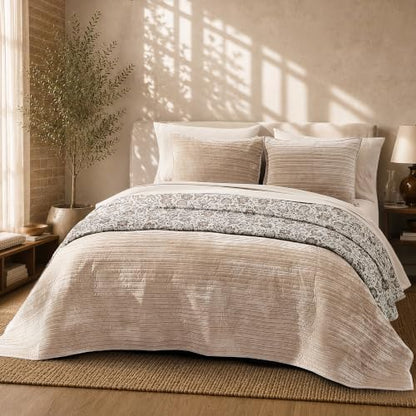 BLOOMHAVEN Taupe Velvet Quilt Queen Size-Reversible Queen Quilt Bedding Set