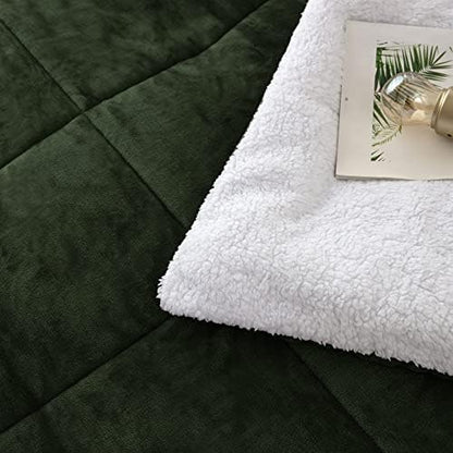 Seward Park Olive Green Sherpa Comforter Set Full Queen Size, All Season Soft Warm Fleece Fall Blanket, Winter Bedding Sets with 2 Pillow Shams