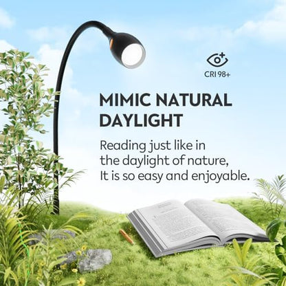 acegoo Wall/Headboard Mounted Reading Light with Handy Head Switch