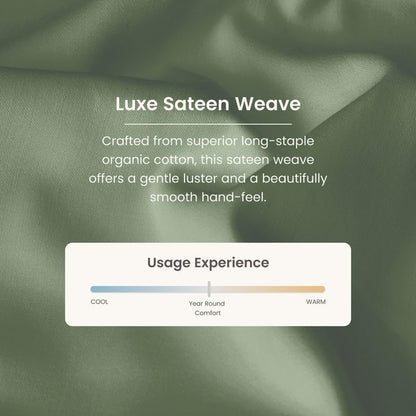 Bioweaves 100% Organic Cotton 1 Full Size Fitted Sheet Only | 300 Thread Count Sateen Weave GOTS Certified with Deep Pocket - Basil