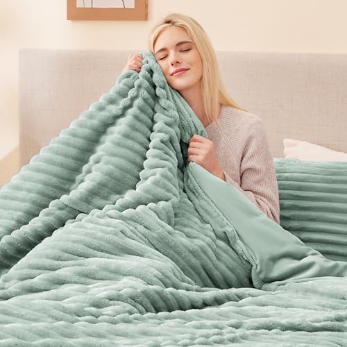 EXQ Home Fluffy Comforter Set Queen Size,3 Pieces Bed Set,Sage Green