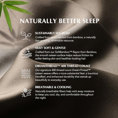 EverGrace 100% Rayon from Bamboo Duvet Cover Set, King Size, Dark Brown