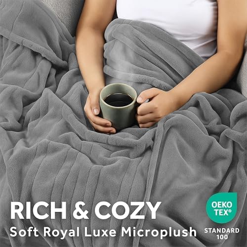 Sunbeam Electric Heated Blanket Royal Luxe Microplush Lt Gray Queen 90x84