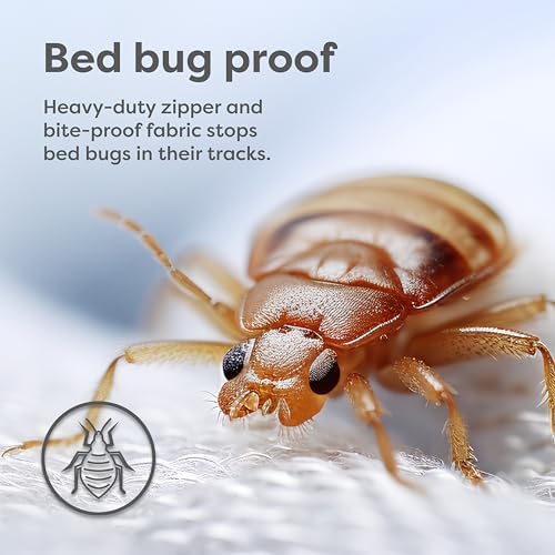HOSPITOLOGY PRODUCTS Zippered Mattress Encasement - Sleep Defense System - Twin - Waterproof - Stretchable - Standard 12" Depth - 38" W x 75" L