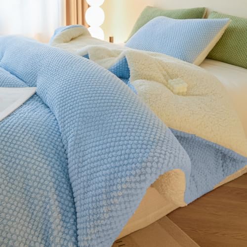 LLanCL 3D Jacquard Design Comforter Set, Ultra-Soft Warm Queen Size Sherpa Fur Plush 3-Pieces Sets Luxury Cozy Bedding with 2 Pillowcases (90"x90", Light Blue)