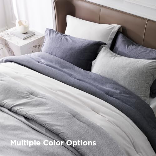 Bedsure Grayish White Queen Comforter Set, Cationic Dyed Bedding Set 3 Pcs