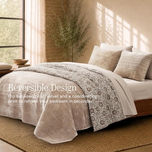 BLOOMHAVEN Taupe Velvet Quilt Queen Size-Reversible Queen Quilt Bedding Set