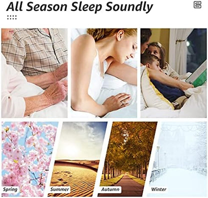 HYLEORY All Season Queen Size Bed Comforter - Cooling Goose Down Alternative Quilted Duvet Insert with Corner Tabs - Winter Warm - Machine Washable - Purple