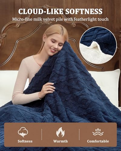CAROMIO Electric Blanket Queen Size Dual Control, Heated Blanket Queen