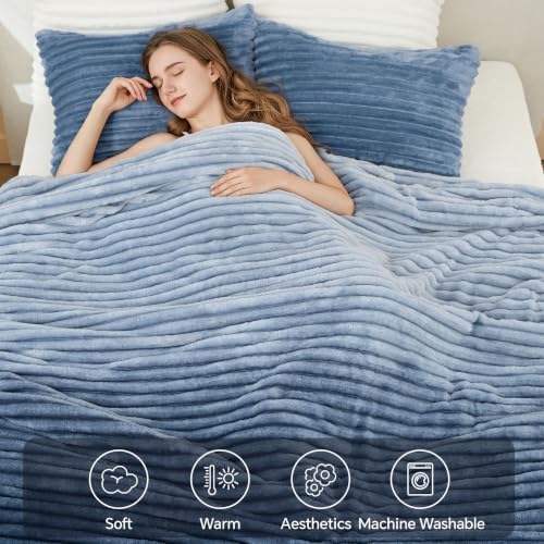 BEDELITE Fleece Twin/Twin XL Comforter Set, Fluffy Bed Set, Blue Ombre