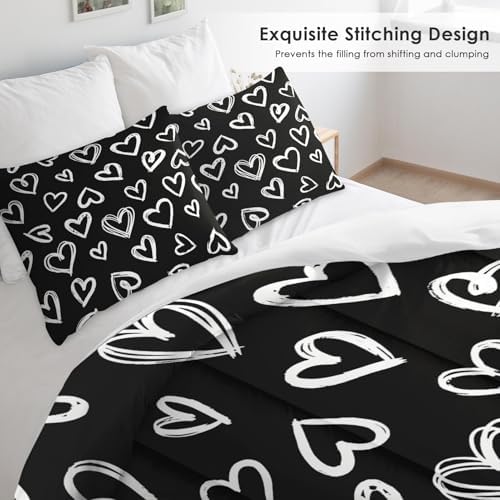 Pamnest Queen Comforter Set, 3 Pieces Love Valentine Bedding, All Season