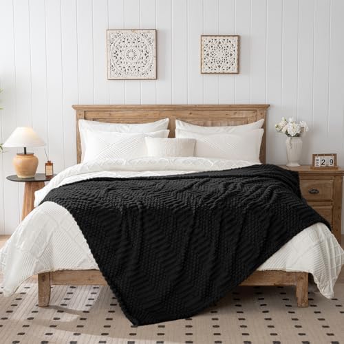 60x80 Inch Black Twin Blanket - Soft & Fluffy Fleece, Cute & Aesthetic, Perfect for Sofa, Couch, Chair, Bed, Living Room & Bedroom, All-Season Use, Plush & Cozy Decorative Blanket