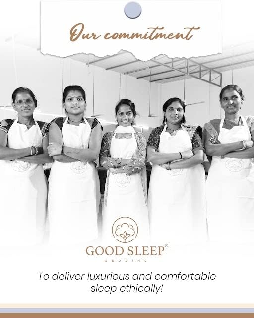 Good Sleep Bedding 1000 TC Queen Sheet Set - 4 Pc Cooling Sheets, 100% Egyptian Cotton Sateen, 16" Deep Pocket, Luxury Hotel Sheets - Blush