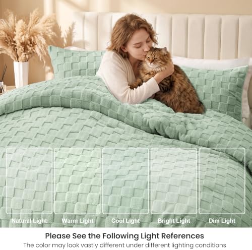 Love's cabin Fleece Queen Comforter Set, Fluffy & Reversible, Sage Green