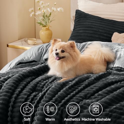 BEDELITE Fleece Queen Comforter Set, Fluffy Bed Set, Black
