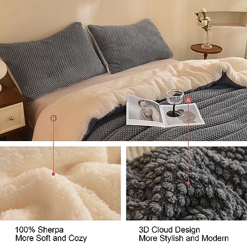 LLanCL 3D Jacquard Design Comforter Set, Ultra-Soft Warm Queen Size Sherpa Fur Plush 3-Pieces Sets Luxury Cozy Bedding with 2 Pillowcases (90"x90", Grey)