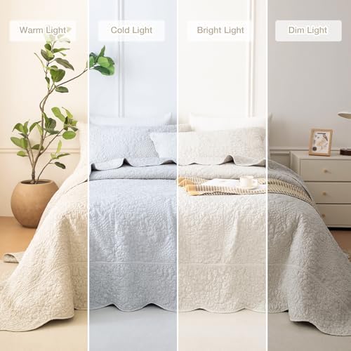 Masaca Oversized King Quilt 120x120,Wheat Crinkled Oversized California King Bedspread Shabby Boho Chic Rustic Lightweight Stone-Washed Scallop Extra Large Quilt Bedding Set Ultra Soft