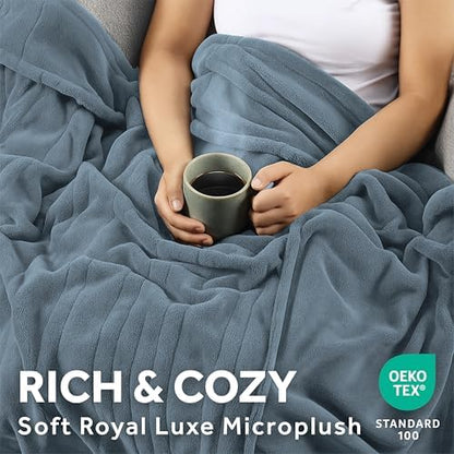 Sunbeam Electric Heated Blanket Royal Luxe Microplush Lt Blue King 90x100