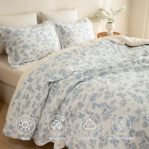 Lady Ann 100% Cotton Queen Quilt Set, Light Blue Floral Pattern Printed Beddding Set, Lightweight Scalloped Edge Ultra Soft Quilted Bedspread & Coverlet for All Season, 3 Pcs