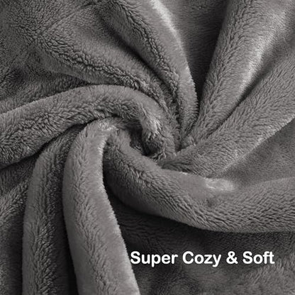 Electric Heated Blanket Full Size 72"×84" with 9 Heating Levels & 1-10Hs Auto Off, Single Control Large Heating Heater Blankets, Cozy for Bed & Sofa, Energy Efficient, Gifts for Family, Light Gray