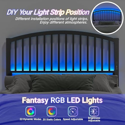 Weehom Metal Queen Headboard Only with LED Lights and USB, Black