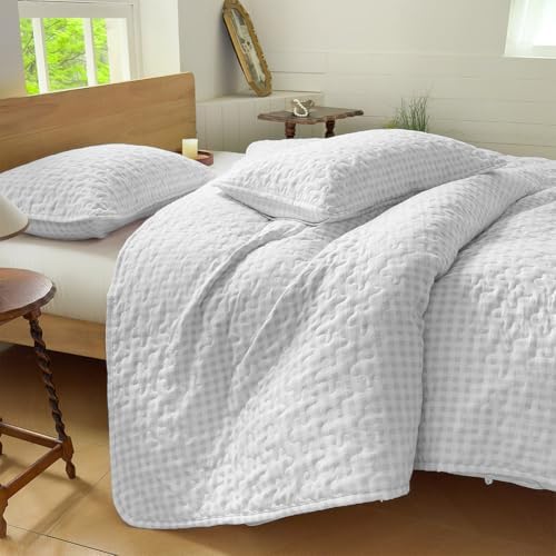 NSNLGSGC Light Gray Gingham Twin Summer Bedspread Quilt Set