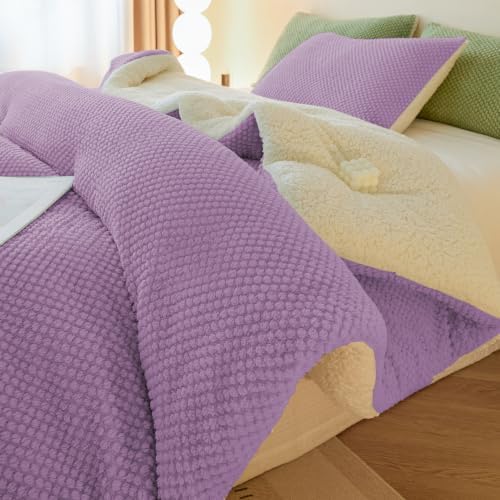 LLanCL 3D Jacquard Design Comforter Set, Ultra-Soft Warm Twin Size Sherpa Fur Plush 2-Pieces Sets Luxury Cozy Bedding with 1 Pillowcase (68"x90", Lavender Purple)
