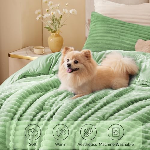 BEDELITE Fleece Queen Comforter Set, Fluffy Bed Set, Green
