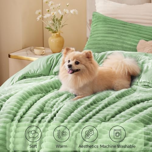 BEDELITE Fleece Full Comforter Set, Fluffy Bed Set, Green