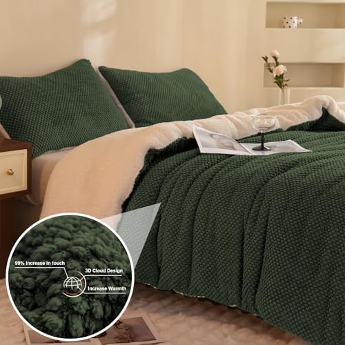 LLanCL 3D Jacquard Design Comforter Set, Ultra-Soft Warm Queen Size Sherpa Fur Plush 3-Pieces Sets Luxury Cozy Bedding with 2 Pillowcases (90"x90", Dark Green)