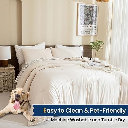 Paxrac Beige Comforter Set Twin/Twin XL Size, Cream 2 Pieces Extra Long Comforter, Lightweight Neutral Bedding Set, All Seasons Soft Breathable Comforter Set (68x90In Comforter & 1 Pillowcase)