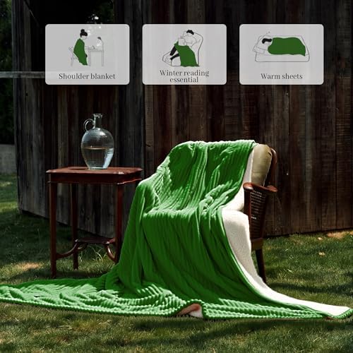 Texciting Heated Blanket Twin Size,Electric Blanket,ETL‑Cert,Emerald Green