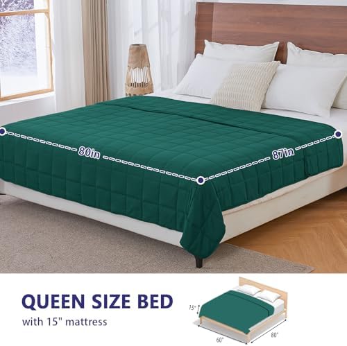 yescool King Size Weighted Blanket for Adults 20lbs, 80” x 87”, Green