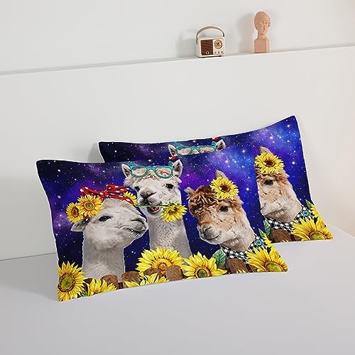 HOSIMA Funny Llama Comforter Set,Alpacas Bedding Sets Animal Theme Room Decor.Soft Microfiber Star Galaxy Sunflower Bed in a Bag King Size Comforter Set for Boys Girls Teens Dorm Room Essentials.