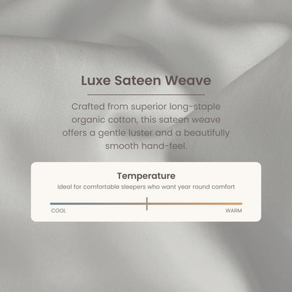 BIOWEAVES 100% Organic Cotton Sheets, 300 Thread Count 4-Piece GOTS Certified Bed Sheet Set Fits Mattress Upto 17" Deep Pocket, Soft & Silky Sateen Weave (Queen, Silver)