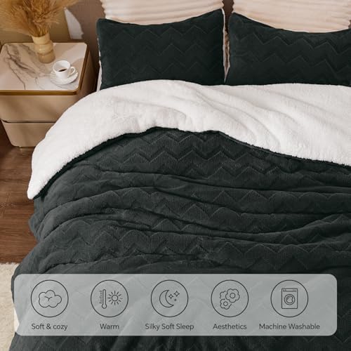 BEDELITE Fluffy Sherpa Twin Comforter Set,Black