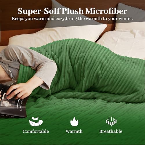 Texciting Heated Blanket Twin Size,Electric Blanket,ETL‑Cert,Emerald Green