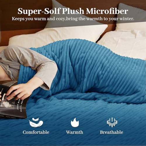 Texciting Heated Blanket Queen Size,Electric Blanket,ETL Certified,Blue
