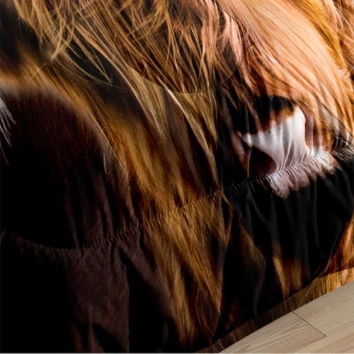 CCoutueChen Highland Cow Bedding Sets Full Size, Brown, Farmhouse