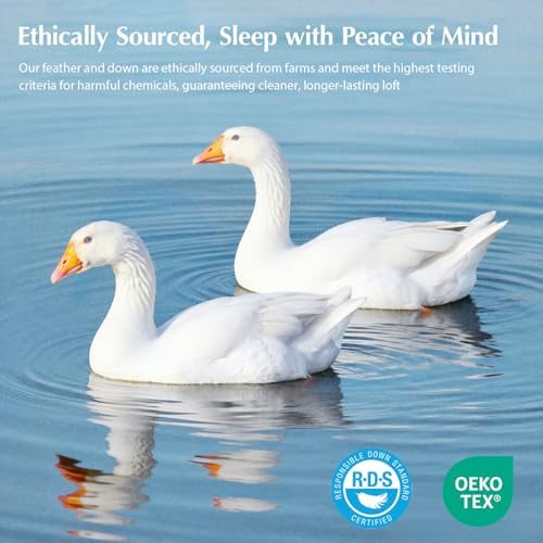 Pacific Coast Lightweight Goose Feather Down Fiber Comforters Queen Size, Summer Duvet Insert, Ultra Soft, Breathable, Hotel Luxury Bedding Comforter with 8 Tabs, White, 90 x 90 inches