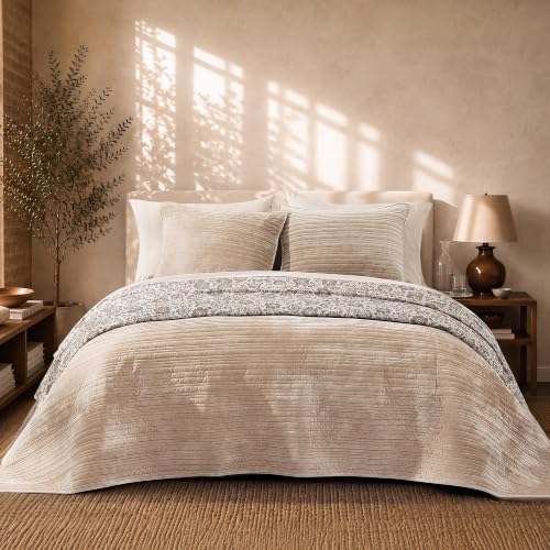 BLOOMHAVEN Taupe Velvet Quilt Queen Size-Reversible Queen Quilt Bedding Set