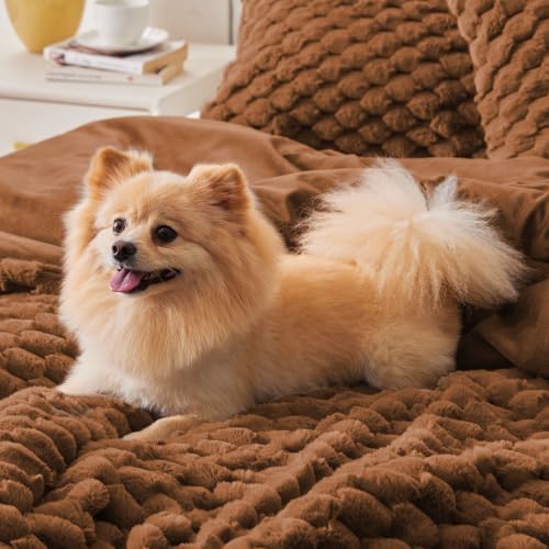 BEDELITE Fluffy Queen Comforter Set, Terracotta Fleece Bed Set 3 Pieces