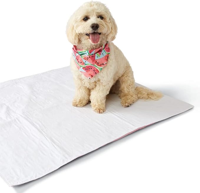 Medline Washable Bed Pads for Incontinence, Large 34 x 36 inch Reusable Underpads, 4 Pack, Pee Pads for Dogs, Adults, Kids and Baby, Navy with Gray Top Sheet